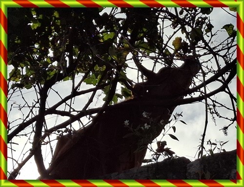 27b_Ponte_de_Lima (329).jpg