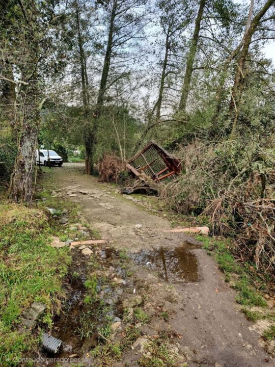 Imagem WhatsApp 2025-11-22 às 14.20.28_ffec22f1.j