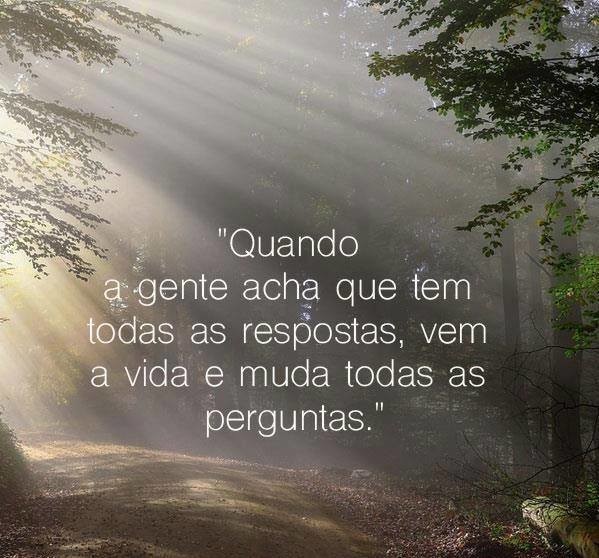 71283828_2507140472657795_6904918054472253440_n.jp