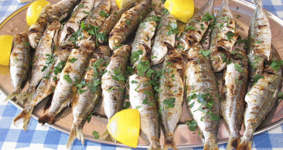 1280px-Grilled_sardines.gif 1280px-Grilled_sardines.gif