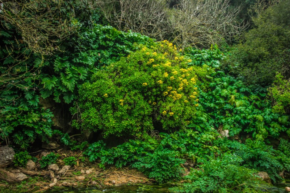 cascata do boição 14.jpg