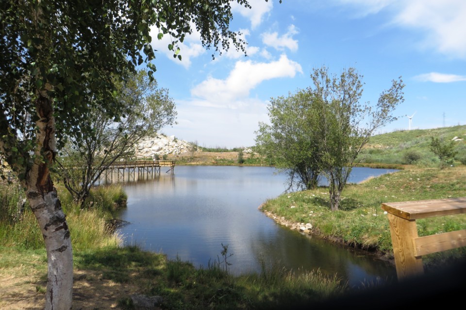 IMG_3368.JPG IMG_3368.JPG