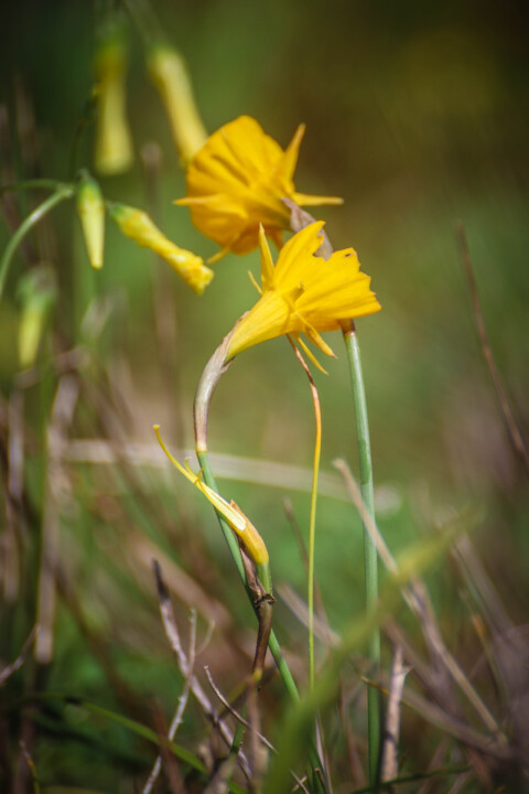 montachique marco 10 b.jpg