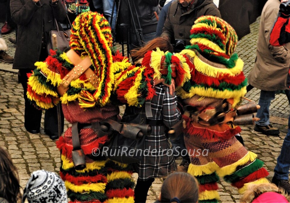 Rui Rendeiro de Sousa 10.jpg