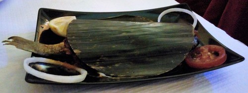 costa do malabar 5.jpg