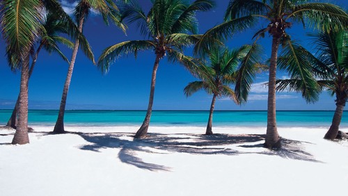 Punta Cana.jpg