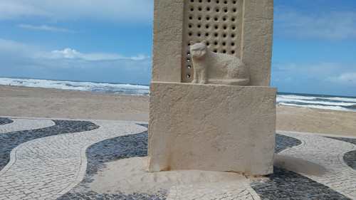 elgatodafoz.jpg elgatodafoz.jpg