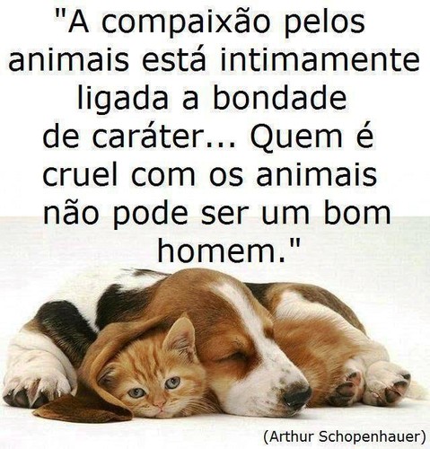 para_pensar.jpg para_pensar.jpg