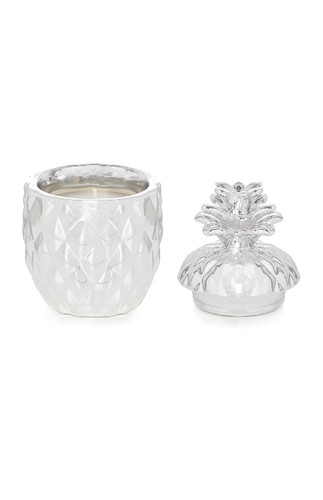 Kimball-0398701-cermaic pineapple, grade J, wk 23,