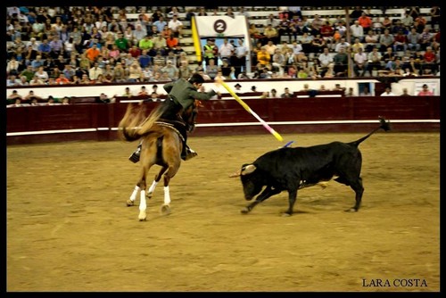 Ferro à ilharga de João Pamplona...
