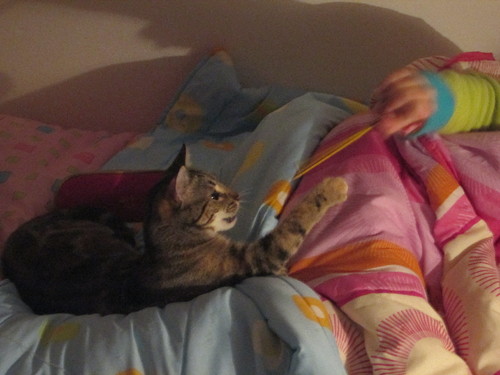 Tica e outras 004.jpg