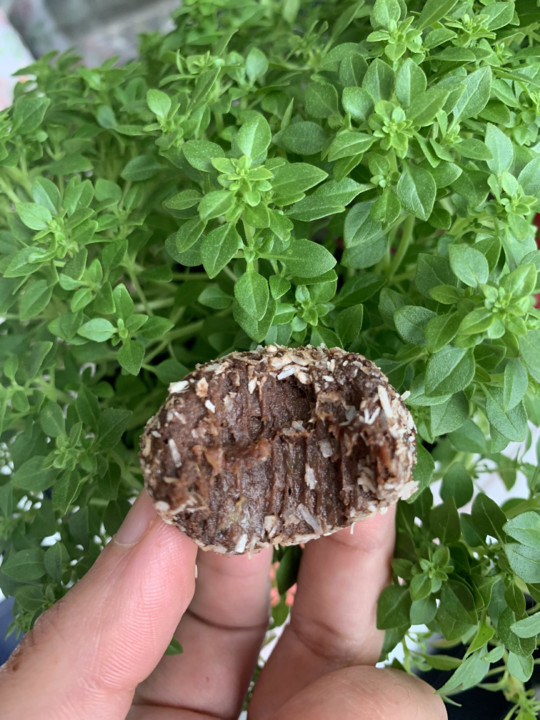 unnamed.jpg unnamed.jpg