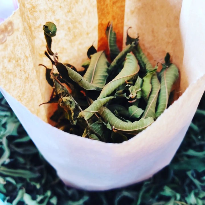 274950558_2249147218558360_6817071342136284589_n.j