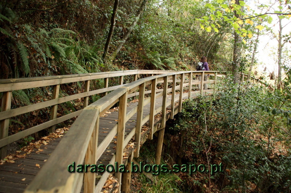 Ribeira_Sacra_22.JPG