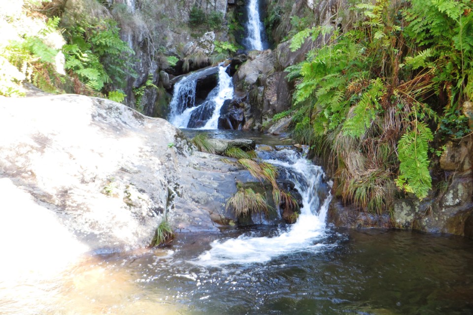 IMG_4645.JPG IMG_4645.JPG