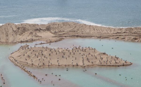 289942685_435801988426299_6607065783336668927_n.jp