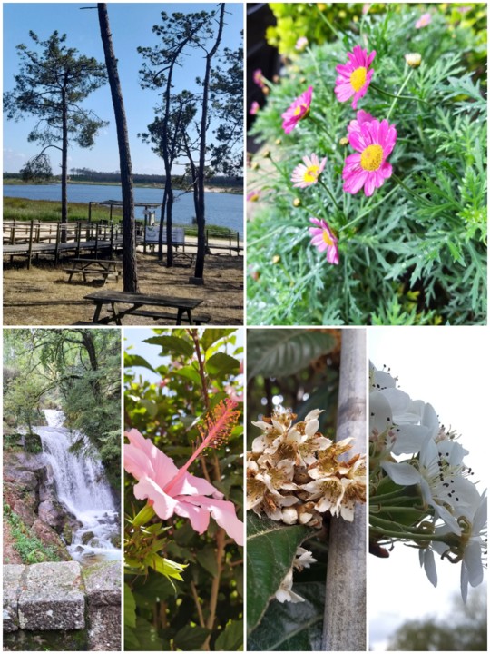 IMG_20210114_221152.jpg IMG_20210114_221152.jpg