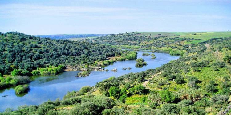 9a08965abd6557a6afb293e1e89b58ec_L.jpg 9a08965abd6557a6afb293e1e89b58ec_L.jpg