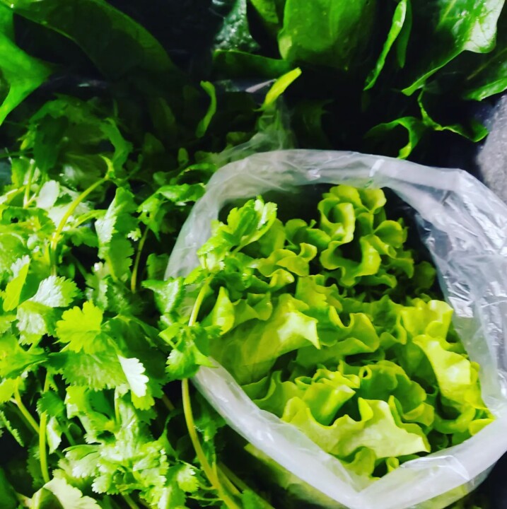 326175640_1123146961693481_6148229190926389202_n.j