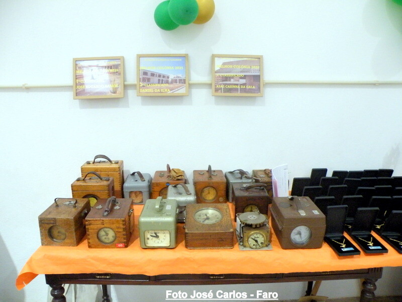 DSCF5006 - Cópia.JPG