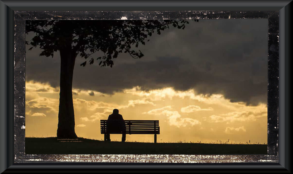 Perdi a fé na humanidade.jpg