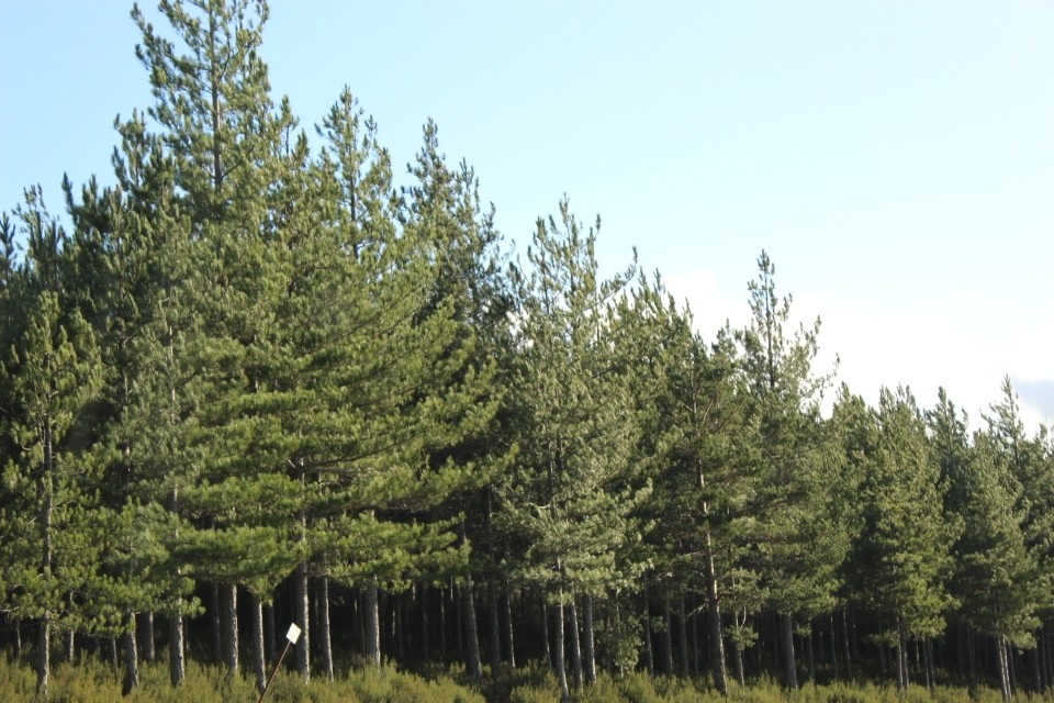 20191130163548_IMG_1999_resized_20200123_032601842