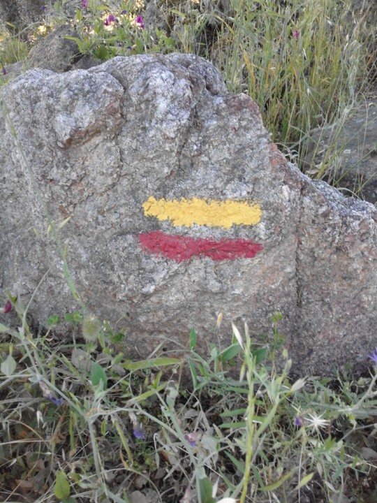 Foto original. Percurso pedestre. 20190520. jpg