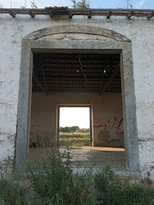 Não me canso disto Azaruja3.jpg