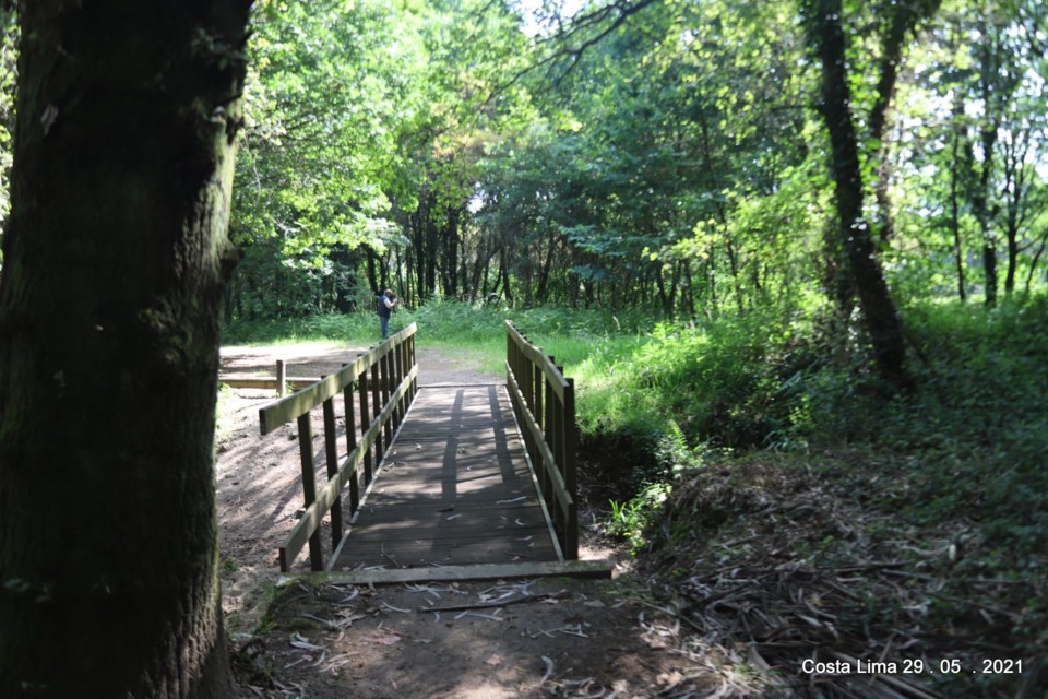 194366390_4450915154938816_4399414287057209962_n.j