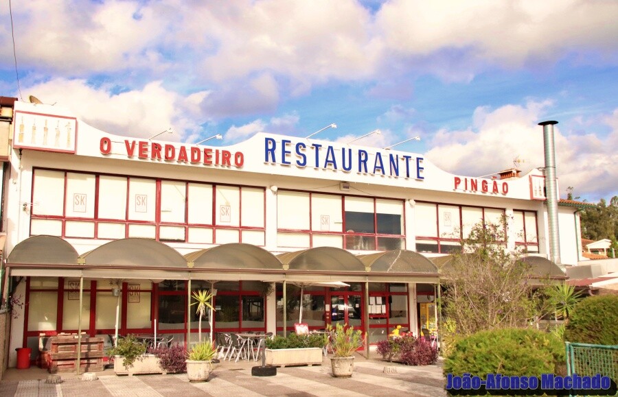 O VERDADEIRO PINGÃO.JPG