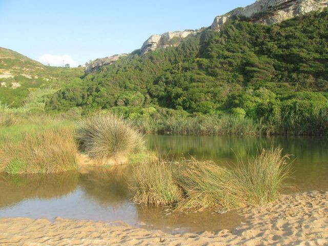 41331805_1815160585265905_7694062744005246976_o.jp