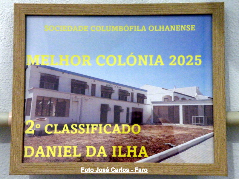 DSCF5008 - Cópia.JPG