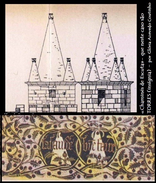 Torres-insignia-chaminés-2.jpg