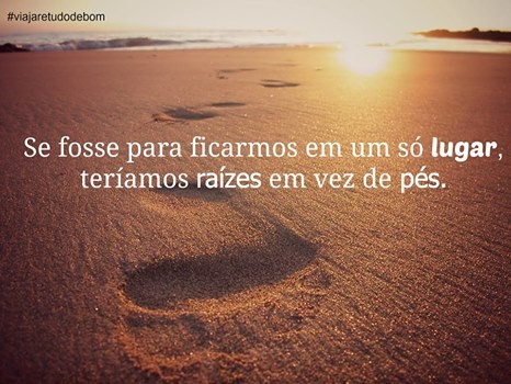 raizes.jpg raizes.jpg