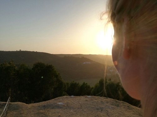 IMG-20170616-WA0010.jpg IMG-20170616-WA0010.jpg