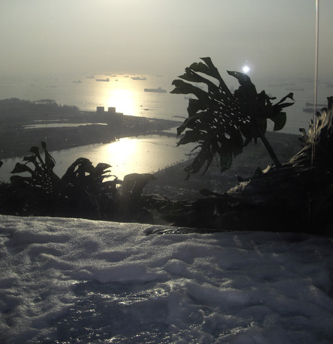 IMGP6394.jpg IMGP6394.jpg