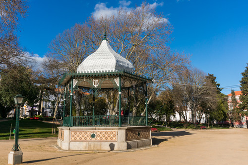 DSC00718.jpg DSC00718.jpg