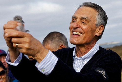 Cavaco Silva.jpg