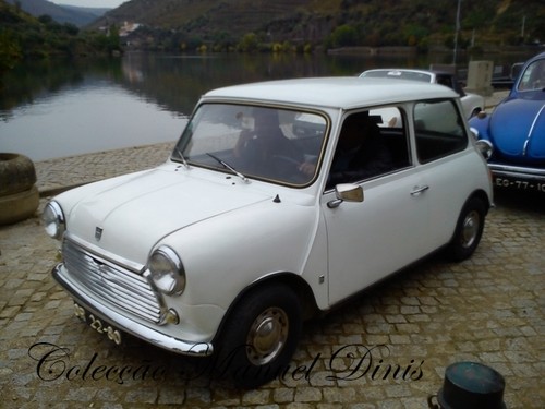 Rota do Moscatel Favaios 2015 (342).jpg