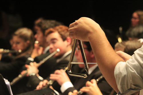 Fotografia Ana Jesus Ribeiro.jpg