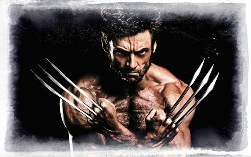 Wolverine