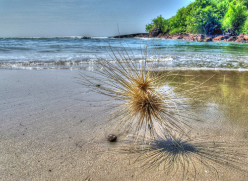 Praia Agonda, Índia.jpg