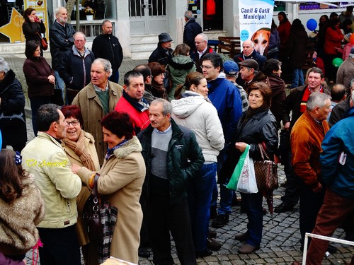Feira do Queijo Em Seia !!! 235.jpg