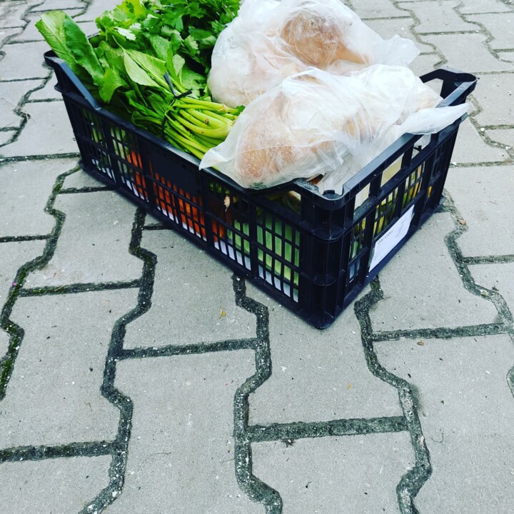 467303996_960022549488489_2981569323274265347_n.jp