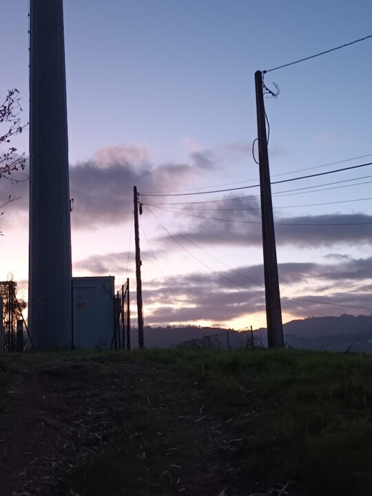 Não me canso disto_tarde1.jpg