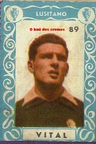 vital-Lusitano Évora.jpg