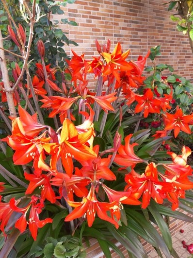 20190331_102046.jpg 20190331_102046.jpg