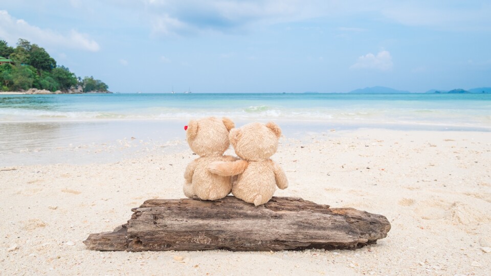 Sea_Teddy_bear_Love_Beach_Hug_552745_3840x2160.jpg