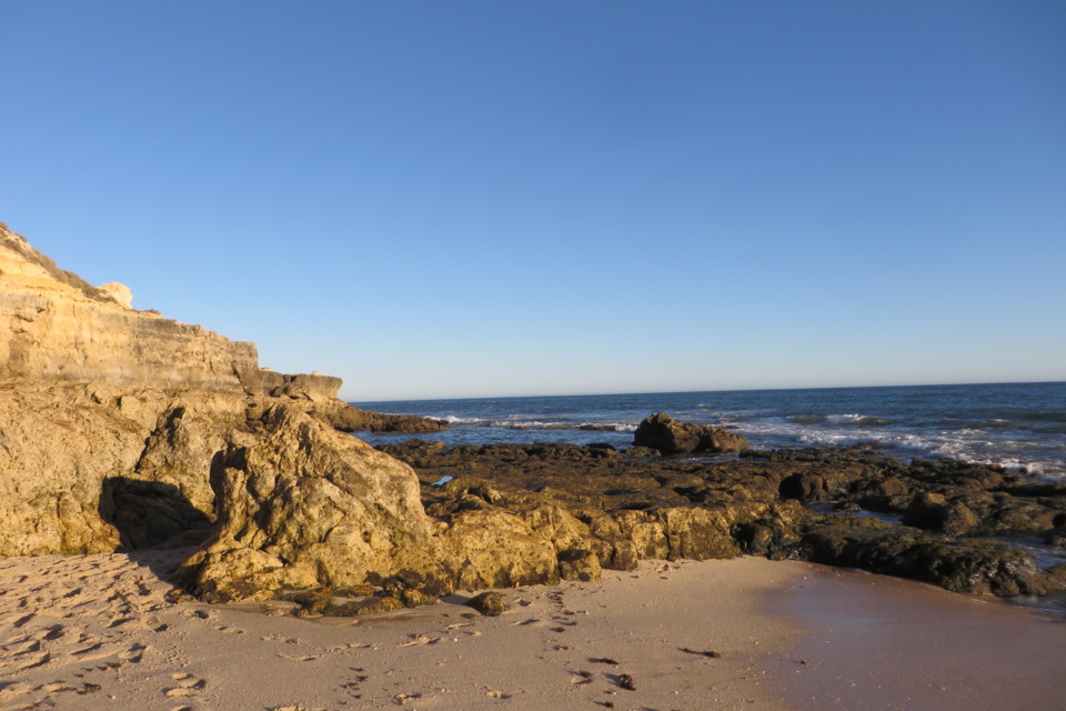 IMG_3896.JPG IMG_3896.JPG