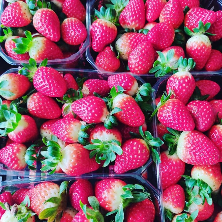 490199378_18472364173066958_8082326024828736660_n.